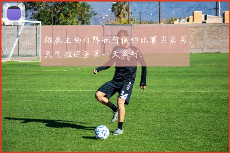 雄鹿主场对阵独行侠的比赛因恶劣天气推迟至另一天举行