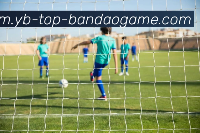 半岛体育平台生态图